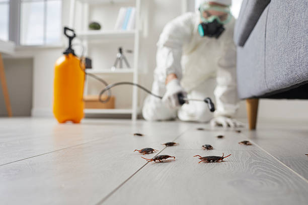 Commercial Kitchen Cockroach Control in Oak Brook